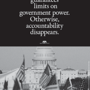 Bill of Rights Flags | Poster