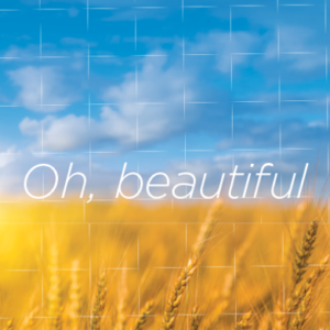 Oh Beautiful | Poster